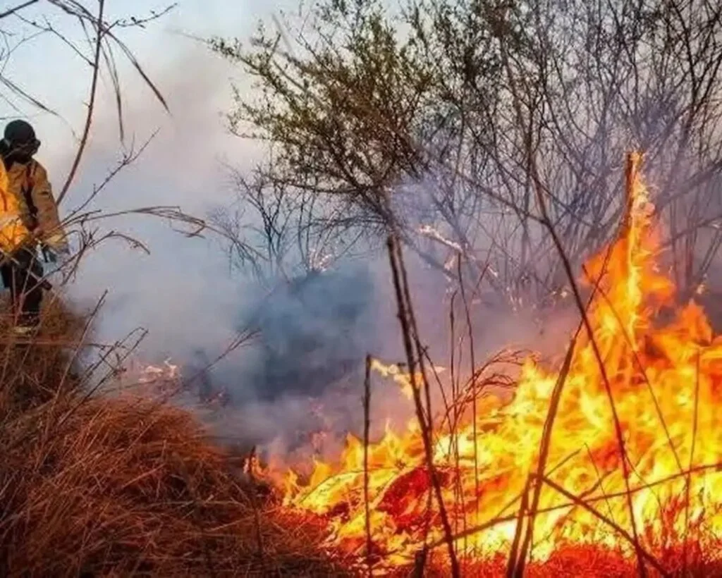 Incendio en Guanchín: 133 hectáreas en riesgo y monitoreo activo en la zona