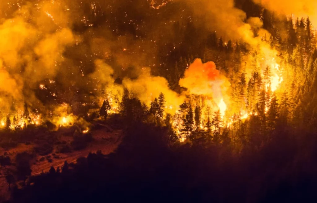 Incendios en Chubut provocan daños extensos y complican el acceso en Ruta Provincial 71