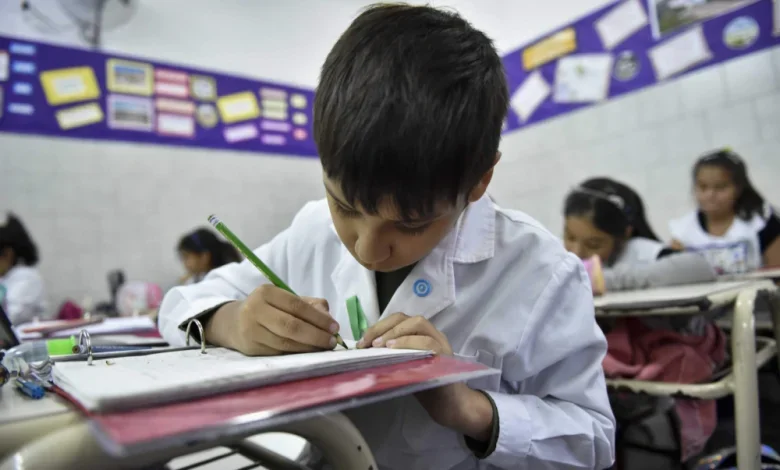 La educación primaria enfrenta una alarmante caída de matrícula en Argentina