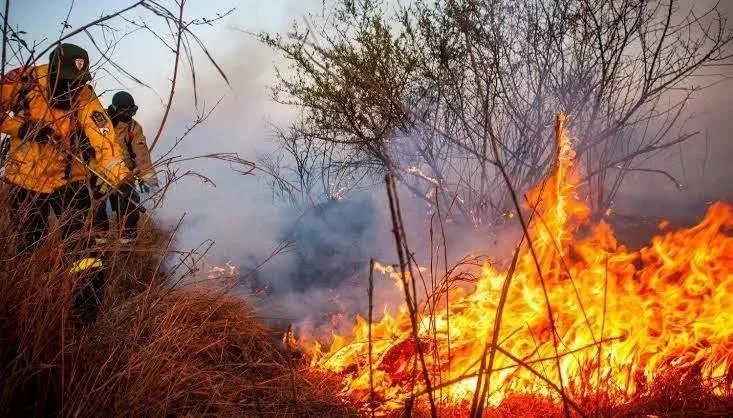 Recomendaciones de salud del Hospital Eleazar Herrera Motta tras incendio en Guanchín