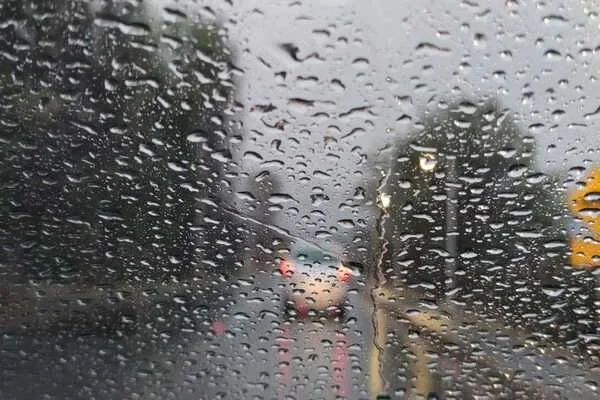 Alerta amarilla en La Rioja: lluvias y niebla afectan la visibilidad y seguridad vial