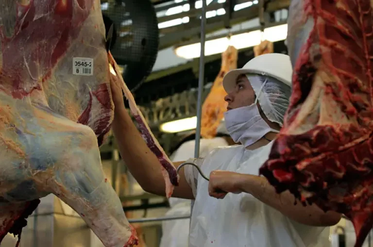 Bromatología descarta venta de carne equina en carnicerías de La Rioja