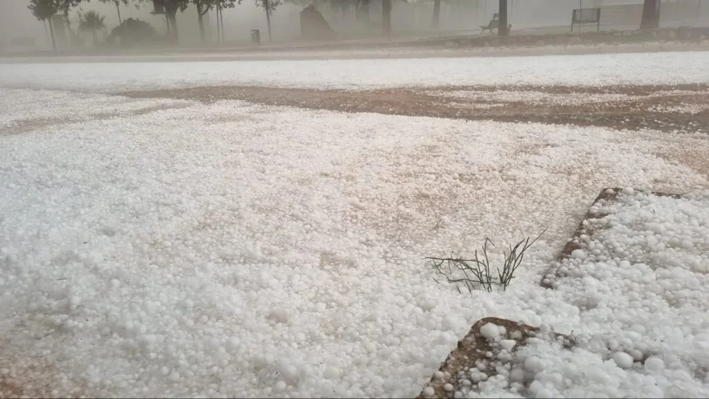 Campanas sufre daños agrícolas severos tras granizada de más de 20 cm de hielo