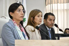 Femicidio en La Rioja: comienza la fase decisiva del juicio por Susana Romero