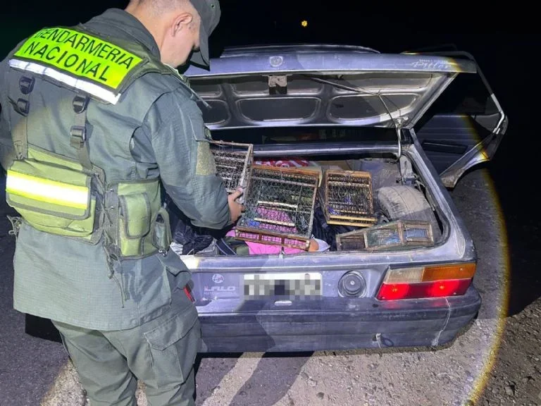 Gendarmería actúa contra la pesca ilegal y salva aves en La Rioja y Córdoba