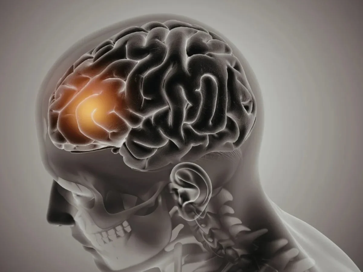 La ciencia investiga la posibilidad de recuperar recuerdos de personas fallecidas