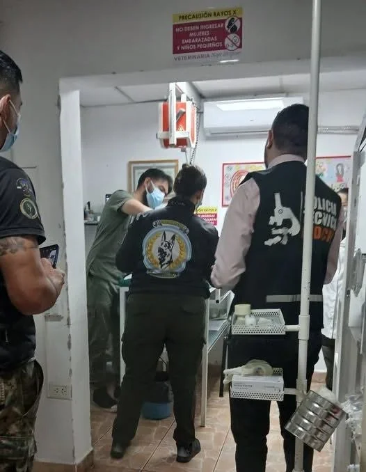 La exhumación de un cachorro en La Rioja: un caso de maltrato animal que conmueve a la comunidad
