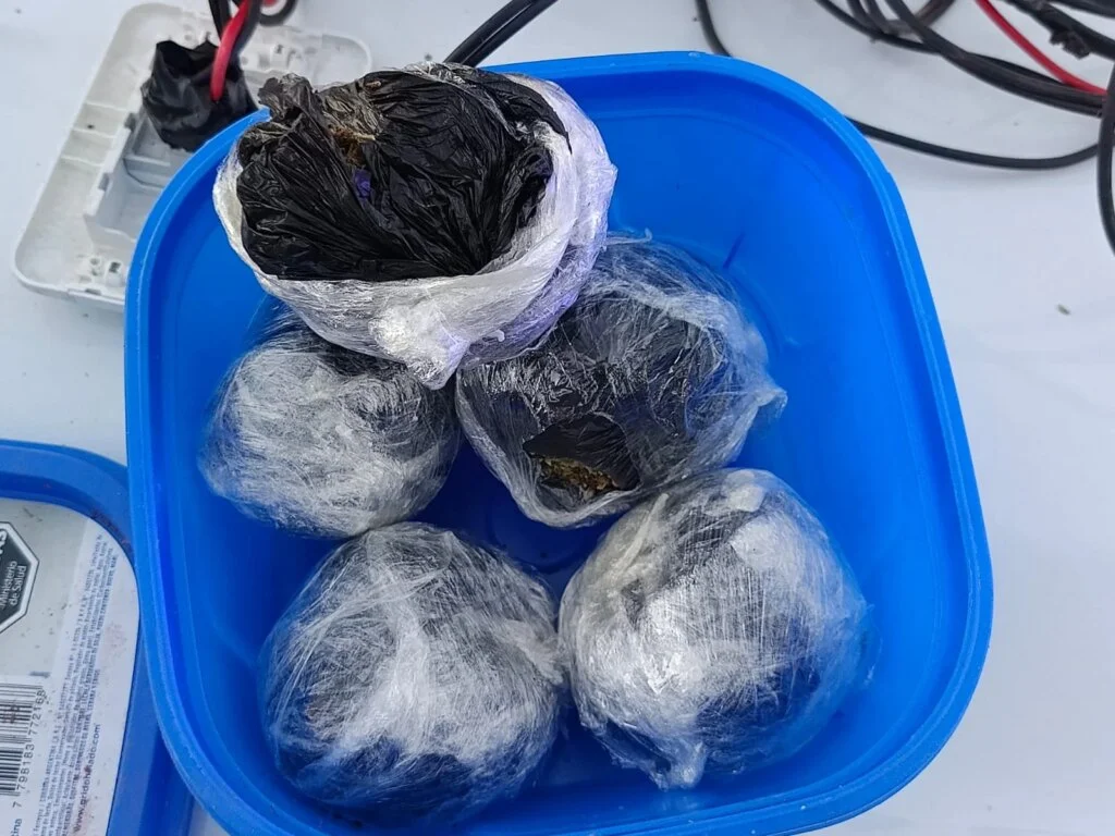 Operativo de Gendarmería en Aimogasta da como resultado la incautación de marihuana