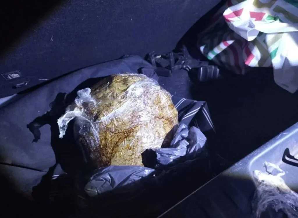 Operativos de Gendarmería en La Rioja: más de 100 semillas de cannabis incautadas