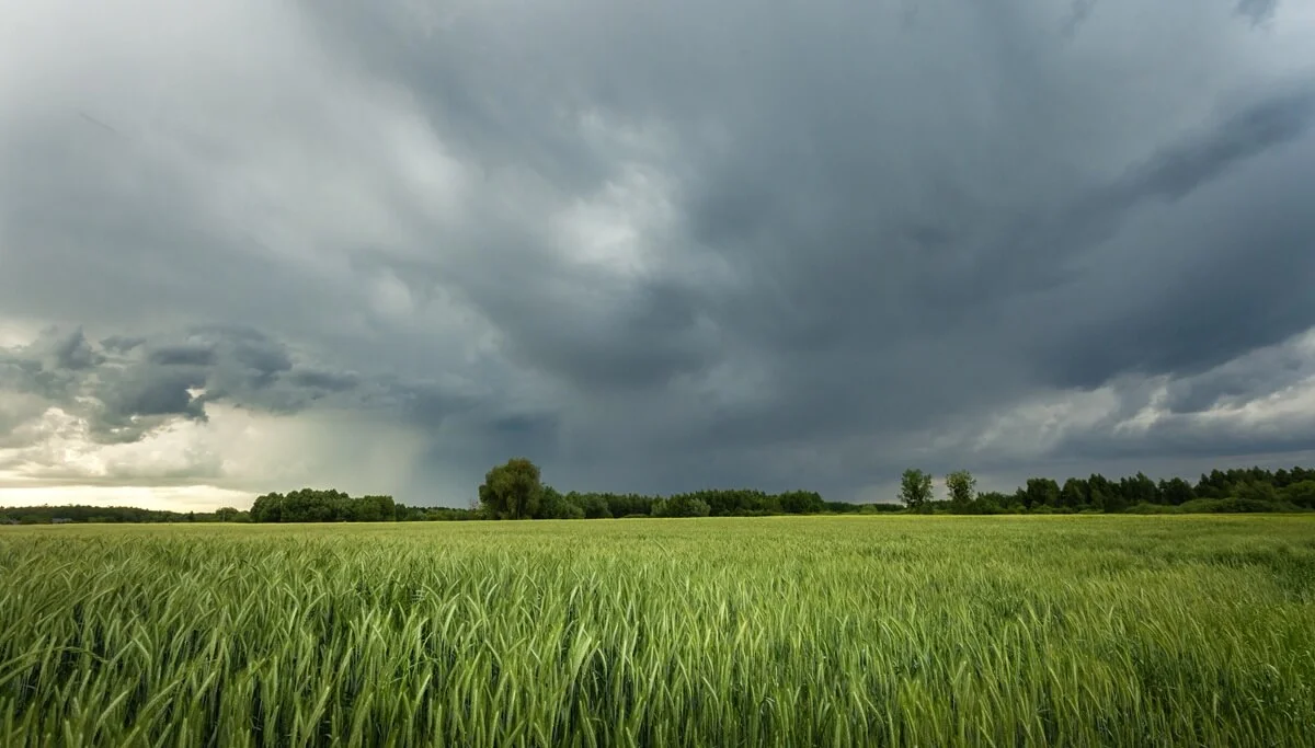 Pronóstico de lluvia ligera para hoy en La Rioja: expectativa de alivio ante el calor