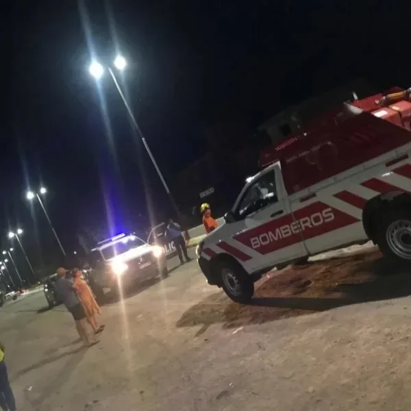 Trágico accidente en Ruta 5: un joven pierde la vida al colisionar con un caballo
